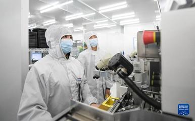 靠譜服務、技術推銷、標準開路——一家光通信企業(yè)的“出海秘籍”